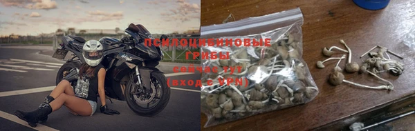 стафф Абдулино