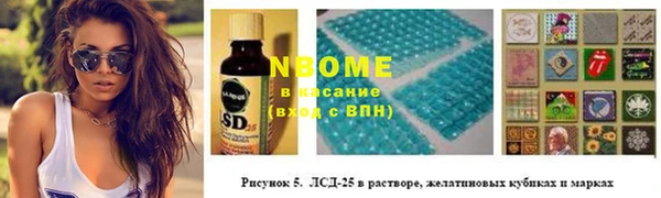 гидра Абаза