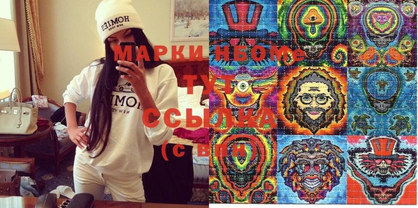 гидра Абаза