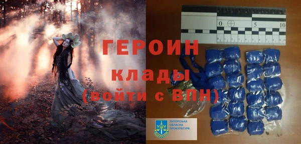 гидра Абаза