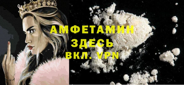 гидра Абаза