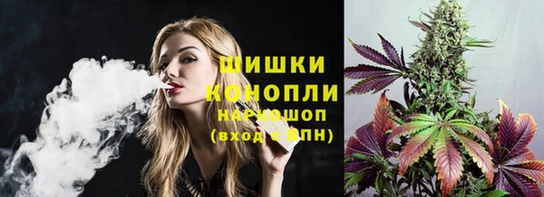 гидра Абаза