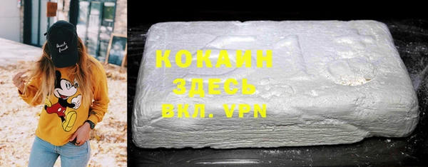 гидра Абаза