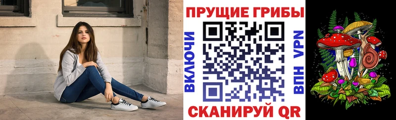 Псилоцибиновые грибы Psilocybe  Ишимбай 